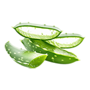 Alavijas