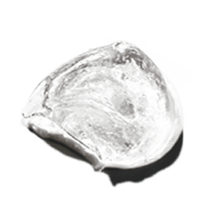 Retinolis